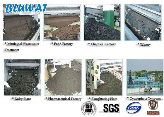 購入 沈積物の排水のための白い粉のカチオンのポリアクリルアミド オンライン製造
