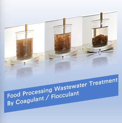購入 55295 98を処理する食品工業2つの水Decoloringの代理店 オンライン製造