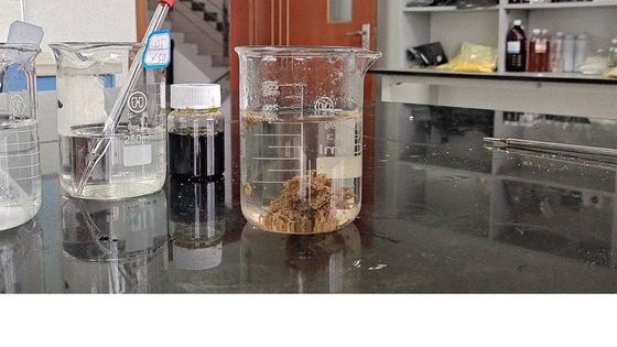 購入 漂白代理人の流出する処置を染め、印刷する織物 オンライン製造