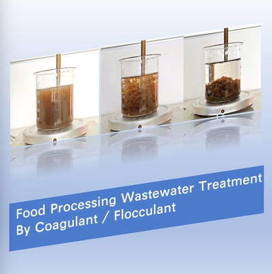55295 98を処理する食品工業2つの水Decoloringの代理店