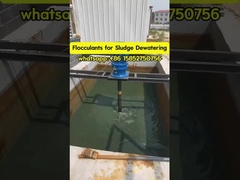 ポリアクリラミド フロッキュラント ポリエレクトロライト 水処理 スラド 厚化 脱水